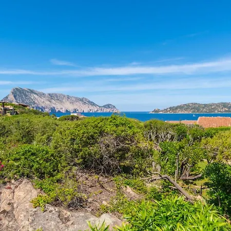 Fiordispina - By Searly